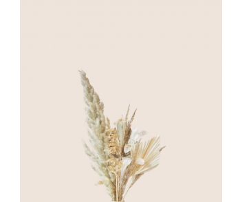 Vase BLUSHY. modèle RORY