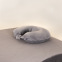 Housse de coussin de nuque velvet : Couleur:Gris