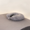 Velvet neck cushion cover : Color:Grey