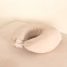 Velvet neck cushion cover : Color:Beige