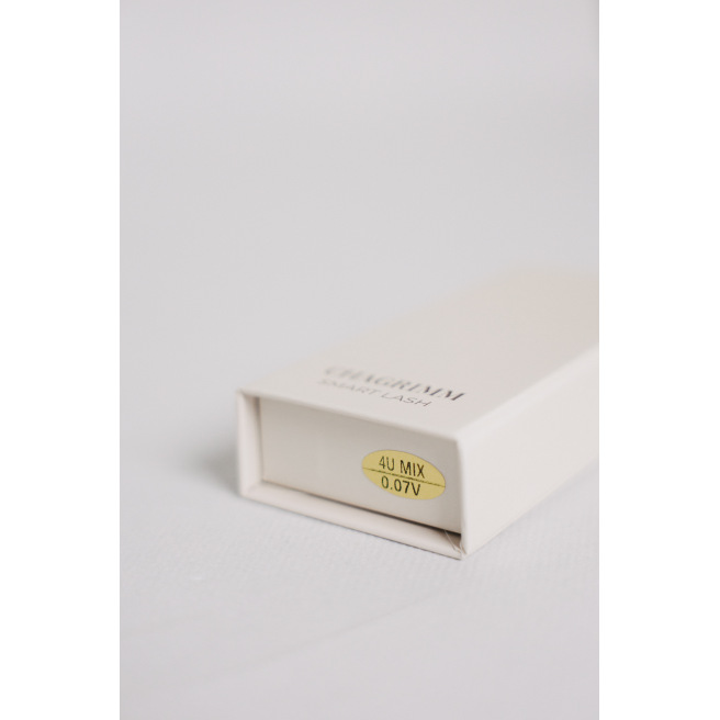 SMART LASH courbures particulières